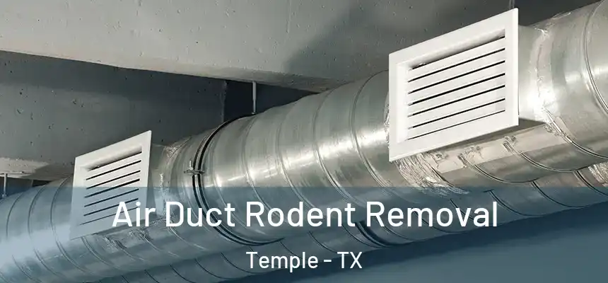 Air Duct Rodent Removal Temple - TX