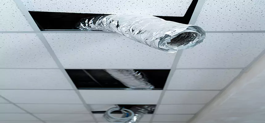 Affordable HVAC Sanitizing After Pest Removal in Temple