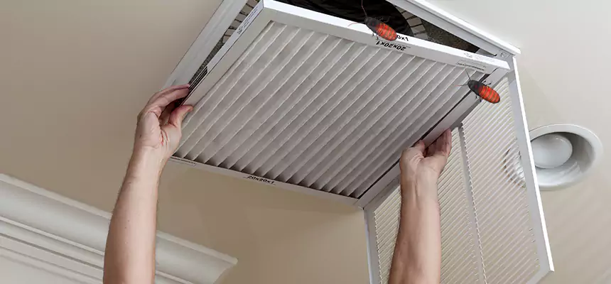 Our Insect Removal from Air Ducts Services in Temple, TX