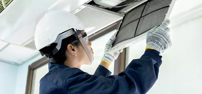 Our Mold & Mildew Removal from Air Ducts Services in Temple, TX