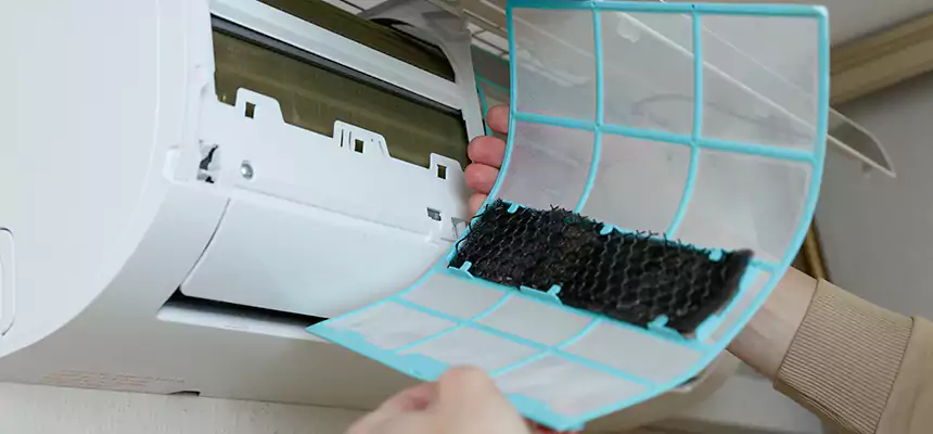 Gentle Ductwork Odor-Control Pet Dander Duct Cleaning in Temple, TX