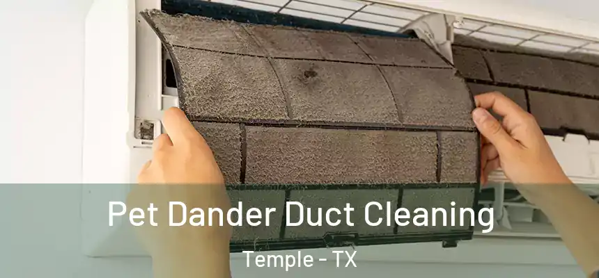 Pet Dander Duct Cleaning Temple - TX