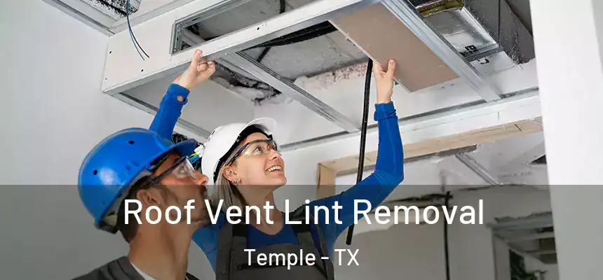 Roof Vent Lint Removal Temple - TX