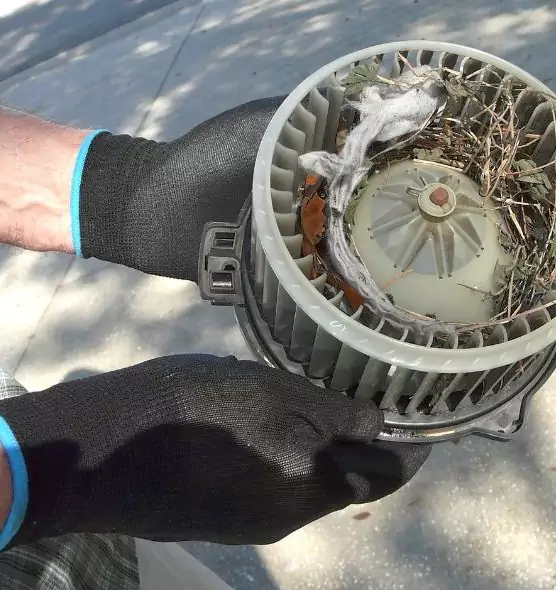 About Air Duct Rat Removal in Temple, TX