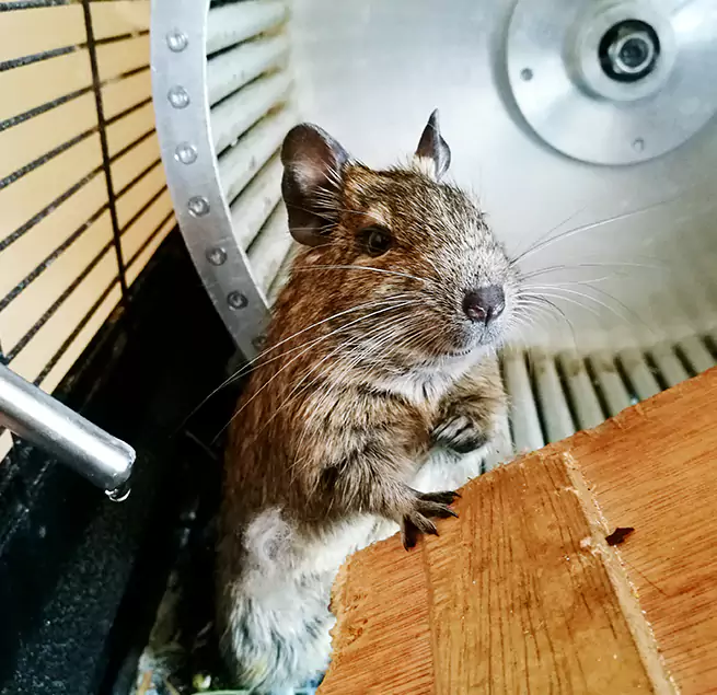 Why Homeowners & Businesses Trust Us Temple, TX?