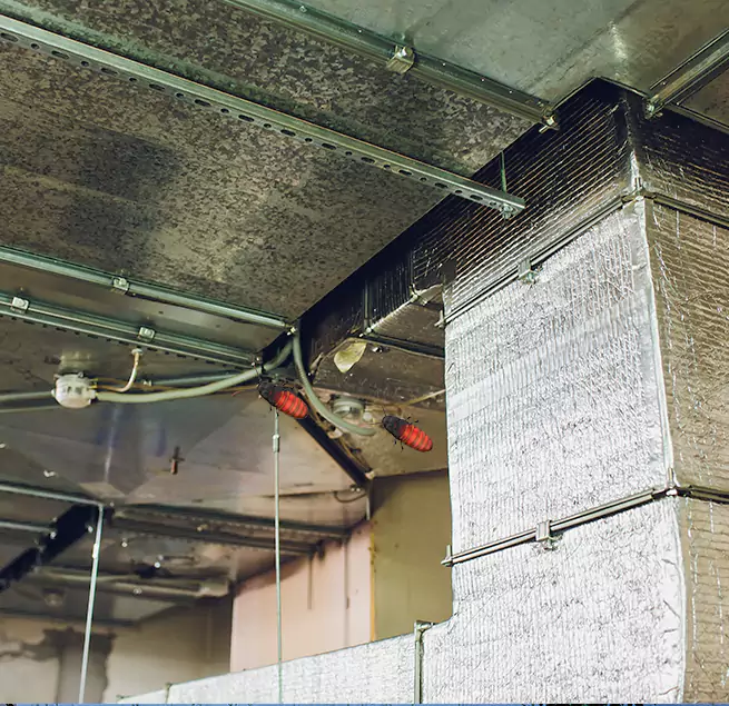 Why Homeowners & Businesses Trust Us Temple, TX?