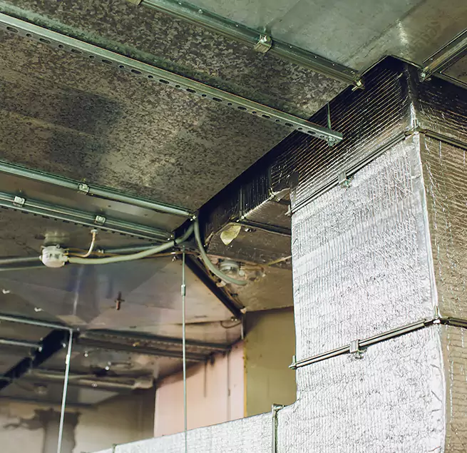 Why Homeowners & Businesses Trust Us in Temple, TX?